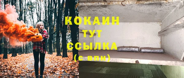 стафф Богданович