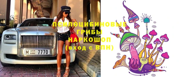 стафф Богданович
