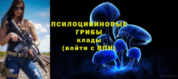 кокаин премиум Богородицк